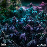 Hold Up - TMacK