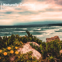Enchanting Sea Waves - Musica Relajante New Age Culture & Meditar Profundamente, Meditacion Budista Maestros, Musica Relajante New Age Culture & Meditacion Budista Maestros & Meditar Profundamente