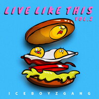 Don't leave, You go - ICE BOYZ GANG