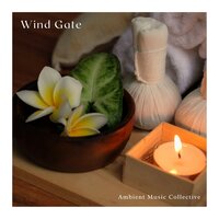 Spa Therapy Music - Ambient Music Collective