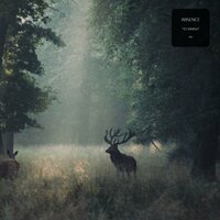 Transient - Absence