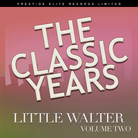 Crazy Mixed Up World - Little Walter