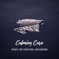 Journey for Emotional Clarity - Motivation Songs Academy