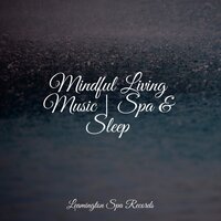 Lullaby - Rain & Naturaleza Relajacion & The Rainforest Collective