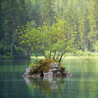 Overflowing - Relaxing Mindfulness Meditation Relaxation Maestro & Kings of Nature & Chillout Lounge