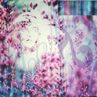 Flowerchild - Owen Ni