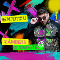 Femeia De Serviciu - Micutzu