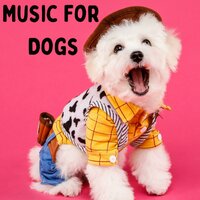 Cozy Doggy Bed - Music for Dogs & Music for Dogs Peace & Relaxing Puppy Music & Calm Pets Music Academy