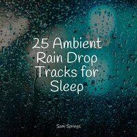 Rainy Ambience - Sleep Songs 101 & Kinderlieder-Superstar & Sound Sleeping