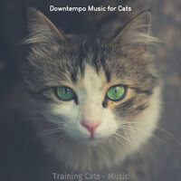 Dream-Like (Cute Kittens) - Downtempo Music for Cats