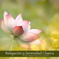 Suavemente Piano (Musica Suave para el Alma) - Relajación Maestro