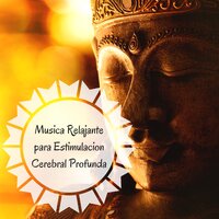 Ruido Del Agua - Fuerza Positiva & Musica Relajante Specialistas & Musica Relajante Specialistas & Fuerza Positiva