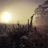 Hypo - Vince Forwards