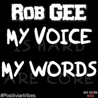 Evil Rains - Rob Gee & The Prophet