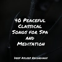 Dozy Dance - Sleep Sound of Nature & Entspannungsmusik & Massage Therapy Music