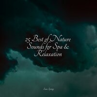 Rain, Vegetation, Wood, Heavy Wind - The Sleep Specialist & Sounds of Nature White Noise Sound Effects & Loopable Sounds for Babies