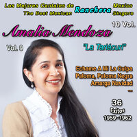 Amarga Navidad - Amalia Mendoza