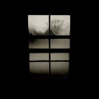 Leave - Rhein