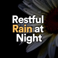 A Cup of Rain - Rain for Deep Sleep & Lightning, Thunder and Rain Storm & Musica relajante