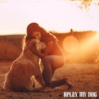 Country Morning - Dog Music Club & Sleepy Dogs & Dog Calming Music