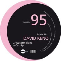 Bambi - David Keno