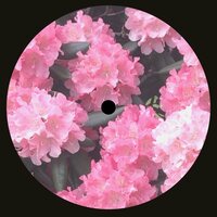 My People - DJ Seduce & Bahia