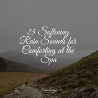 Splashing Drops - Thunder and Rain Storm & Natural Sound Makers & 125 Nature Sounds