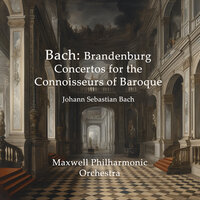 Brandenburg Concerto No.6 In B Flat Major BWV.1051: III. Allegro - Maxwell Philharmonic Orchestra & Johann Sebastian Bach