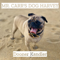 Purses, Perfume and Shoes - Dooner Kandler