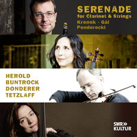 Penderecki: Clarinet Quartet - IV. Abschied. Larghetto - Kilian Herold & Florian Donderer & Barbara Buntrock & Tanja Tetzlaff