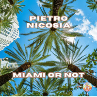Miami or Not - Pietro Nicosia