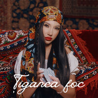 Tiganca Foc - AZA
