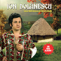 Seara scârţâie fântâna - Ion Dolanescu