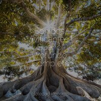 Llamadas De Serenidad - Música de la Naturaleza & Academia de Música para Massagem e Relaxamento & Musica Relajante New Age Culture
