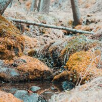 Meadow Wildflower - Mother Nature Sound FX & Lullabies for Deep Meditation & Meditacionessa