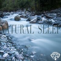 Around the World - Nature Sounds Worldwide