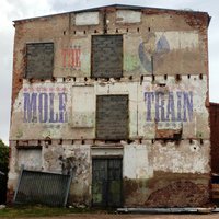Driftin' Piece of Wood - The Mole Train