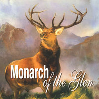 Golly and the Stag - Donald Lindsay & Ceol Mor