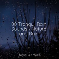 Gentle Campfire - Schlaflieder Relax & Water Sounds for Sleep & Baby Sleep Music
