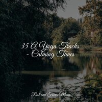 Gems of Tranquility - Tonal Meditation Collective & Massagem Coleção de Músicas & Massage