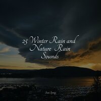 Park, Birds, Insects, Busy, Calm Wind - Oasis of Meditation & Chillout Lounge & Tailormade Ocean Waves