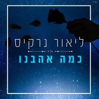 כמה אהבנו - Lior Narkis