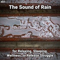 Rain Sounds for Sleep - Rain for Deep Sleep & Rain Sounds & Nature Sounds