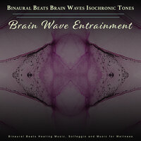 Music for Focus and Relaxation - Binaural Beats Brain Waves Isochronic Tones Brain Wave Entrainment & Solfeggio Frequencies 528Hz & Healing Music Collective