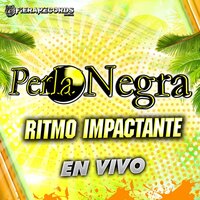 Veracruzano - PERLA NEGRA