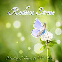 Reduce Stress (Calm Music) - Sound Effects Zone