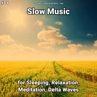 Slow Music Pt. 47 - Calm music & Relaxing Spa Music & Yoga