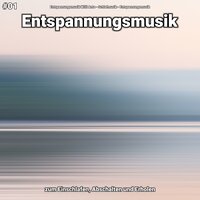 Entspannungsmusik Teil 10 - Entspannungsmusik Willi Antz & Schlafmusik & Entspannungsmusik