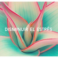 Melodías Curativas - Calmar la Ansiedad