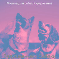 Созерцая (Собаки) - Музыка для собак Курирование